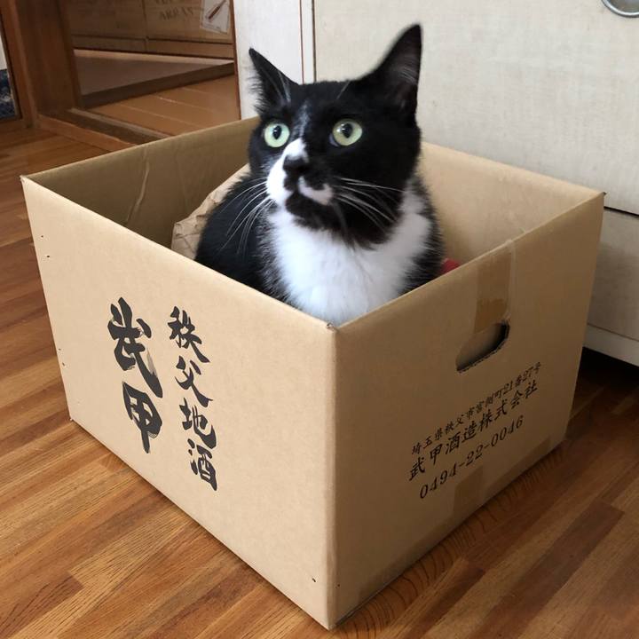 3af7997d 431f 4163 97d3 2d52bfd7f68b 1594871577601