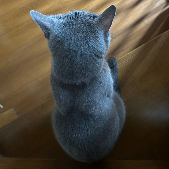 3af7b80c 5762 4cff 97eb 6c2733396ff0 1754183299401