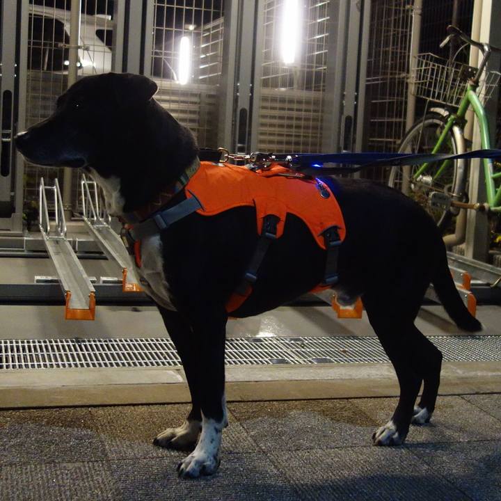 3af7c053 96ee 4abe b23d fd754a422358 1703761605319