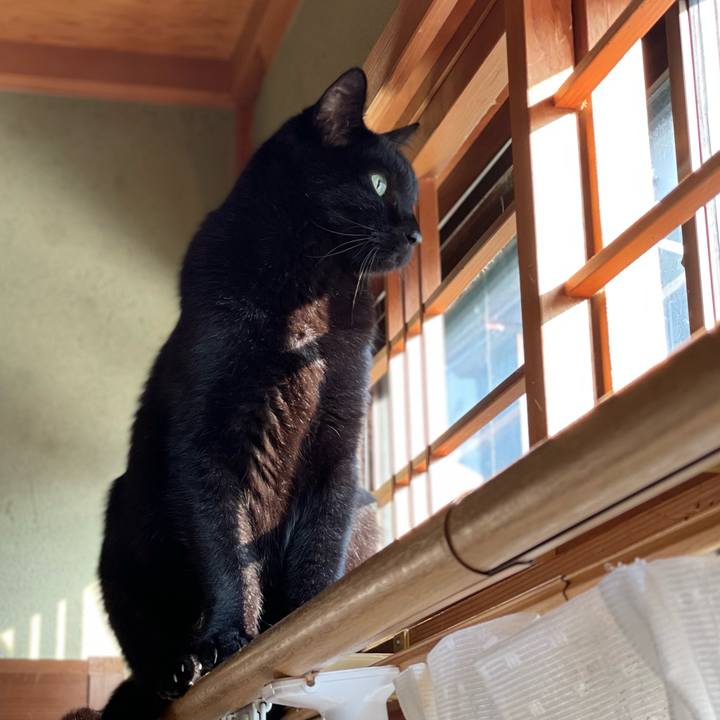 3af7cd75 c911 4331 9748 b3fc689b9946 1639361885384