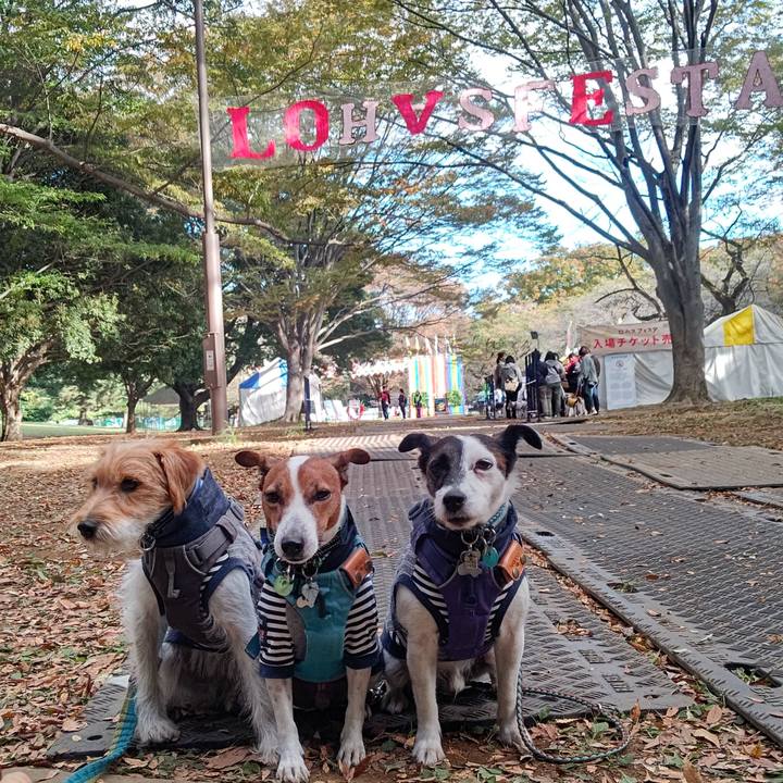 3af7d343 4ee5 4e52 9a72 ba1b6cc43831 1698072240405