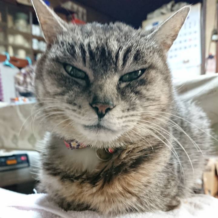 3af7e718 b0c3 4351 959e ae0cfe8db3fb 1585167138239