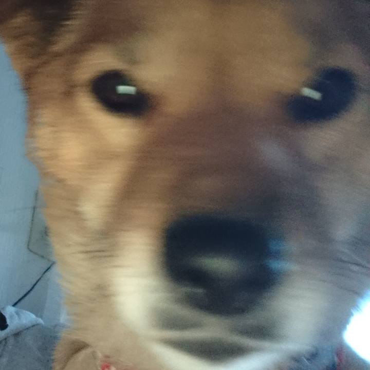 3af7e968 fde6 4622 a83a 44b50e66b971 1587988383263