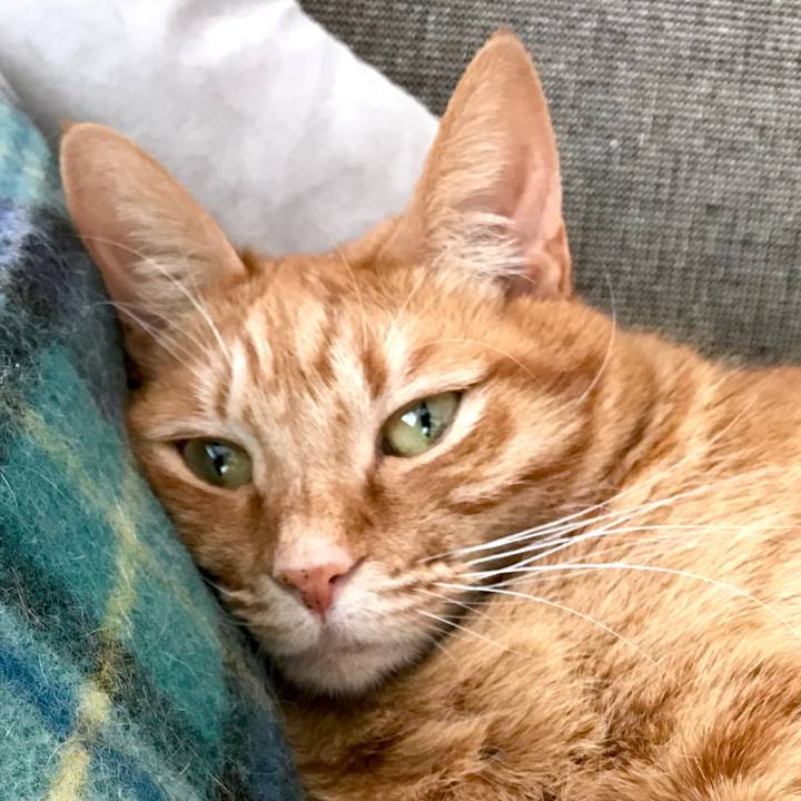 3af83117 2250 4f72 95cd 512931091250 1519628735333