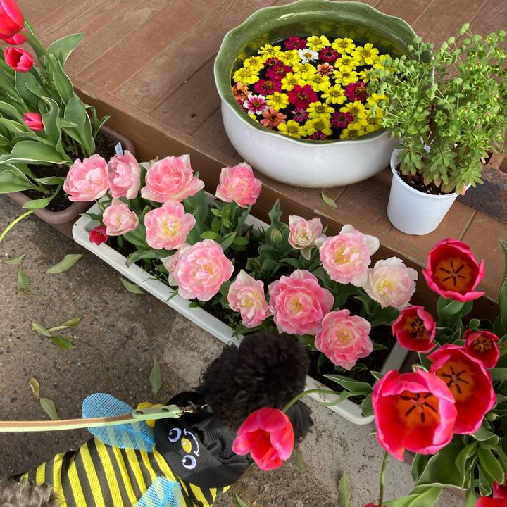 3af854ba ecbe 488c 9539 0a694b304ce6 1619366020223