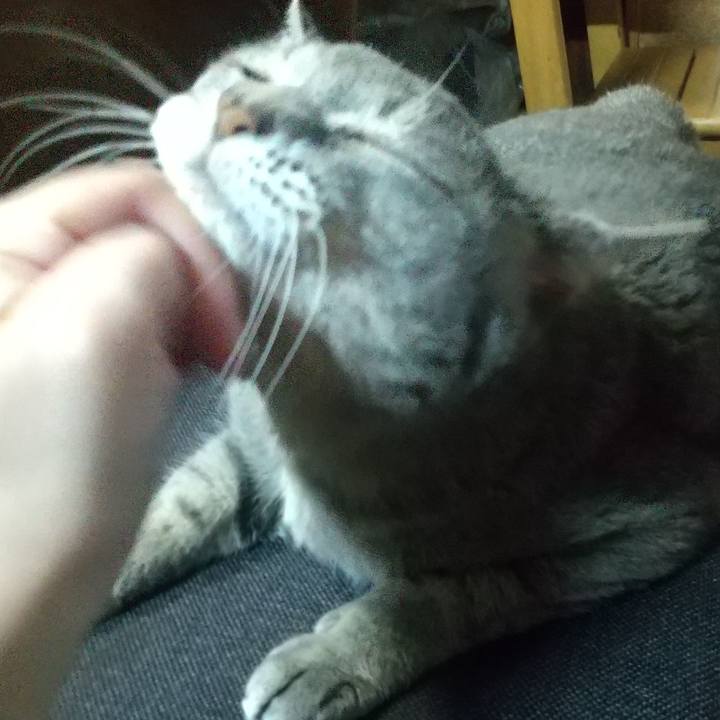 3af87f02 4efd 4c6a b9ff d4608e11a91a 1665748379730