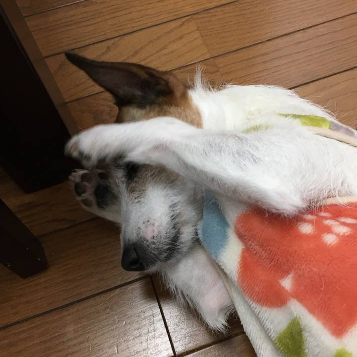 3af88e38 e2d9 4e4c ad0a b99955525b97 1585610734129