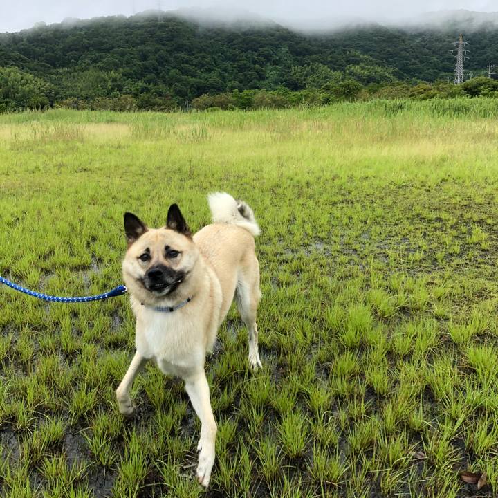 3af89671 2650 4a2b 89be ae6d4c2087ec 1531017613881