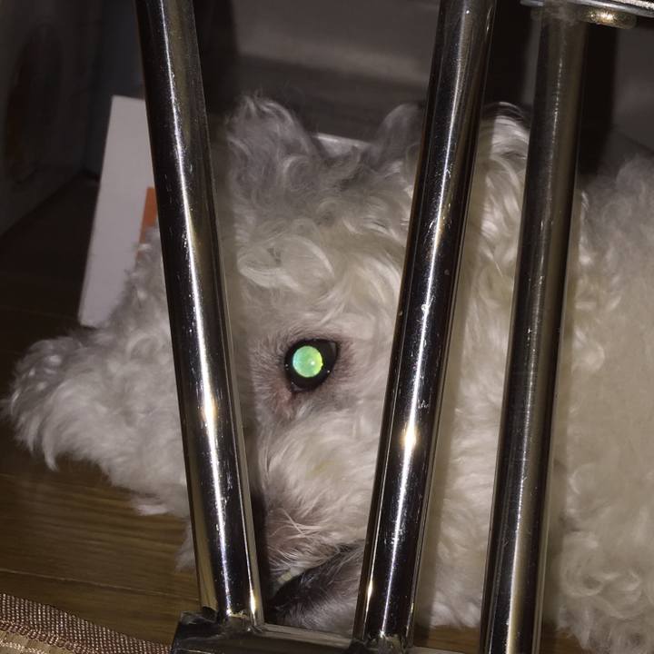 3af8a605 3264 492d a871 517db460eeb6 1533131104275