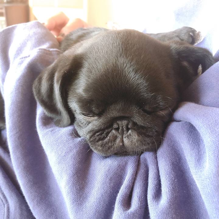 3af8e3e7 7dbf 4035 93fa 9d0d3f7bb302 1588337436222