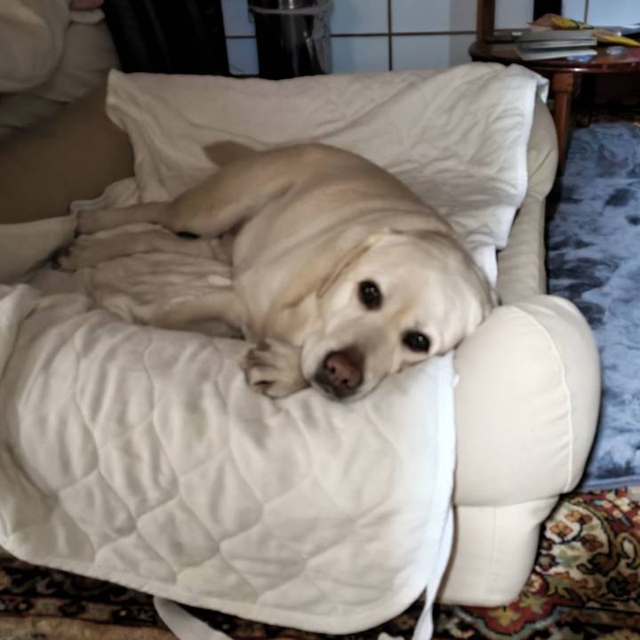 3af8ea8c aa56 43f1 9961 57048062b113 1708269381536