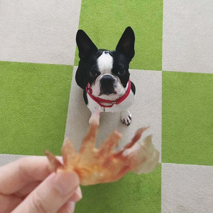 3af923a4 83bf 4a7d 8c52 2af5719808f5 1522734730256