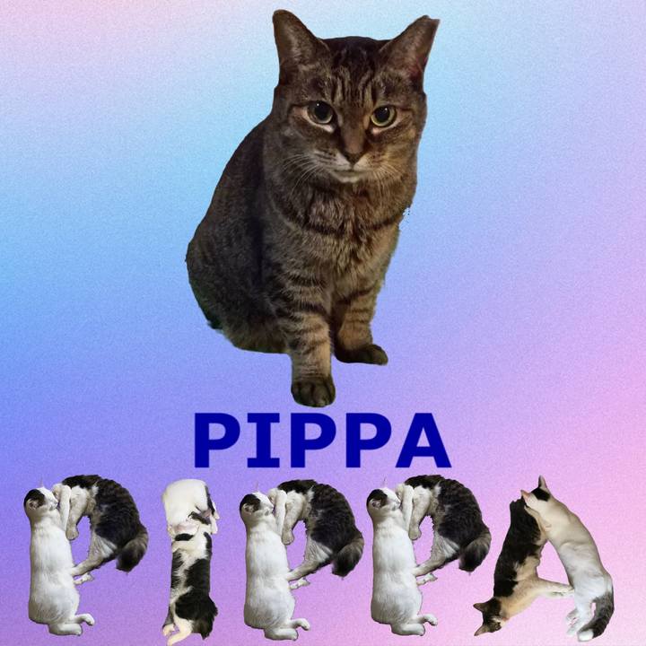 3af937ba 2263 4cd5 92c9 3fa13446f514 1667723850513