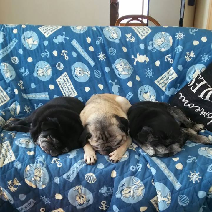 3af95529 82af 4ada 9e02 b0aaa526b6c1 1551998725647