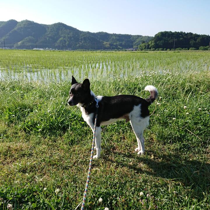 3af95eed a855 42af 83c8 0f6b862a6dd4 1559260029027