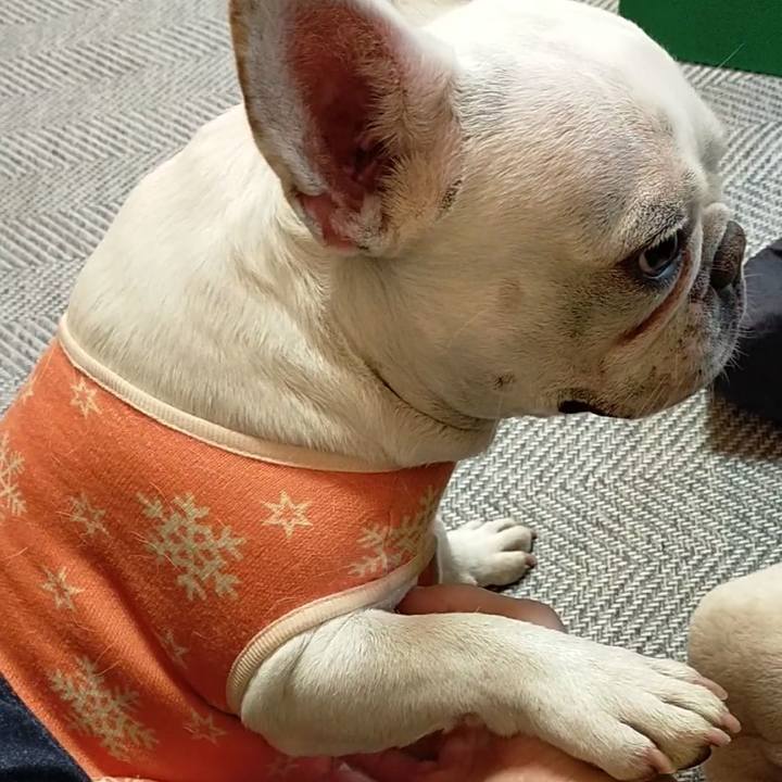 3af99739 0e85 4fb0 8c0b 1fb788d17c12 1670711962670