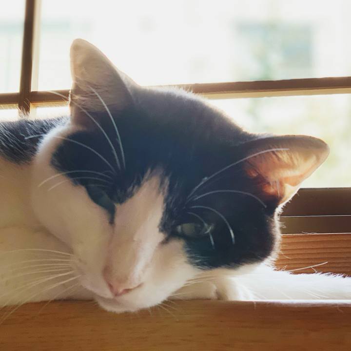 3af9bf0f e7f3 4c89 a0bc c6a1896f90f6 1598063778142