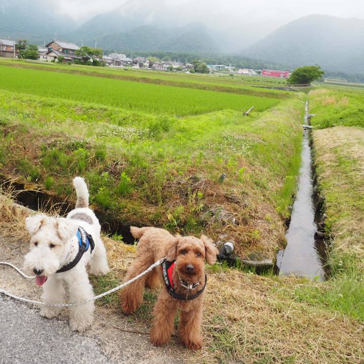 3af9c48c fb2f 40a1 bebe e88fb6dacf38 1559963658799