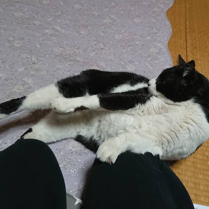 3af9f3a4 42d7 4e67 b6b2 b6f5e4ea51de 1550305619983