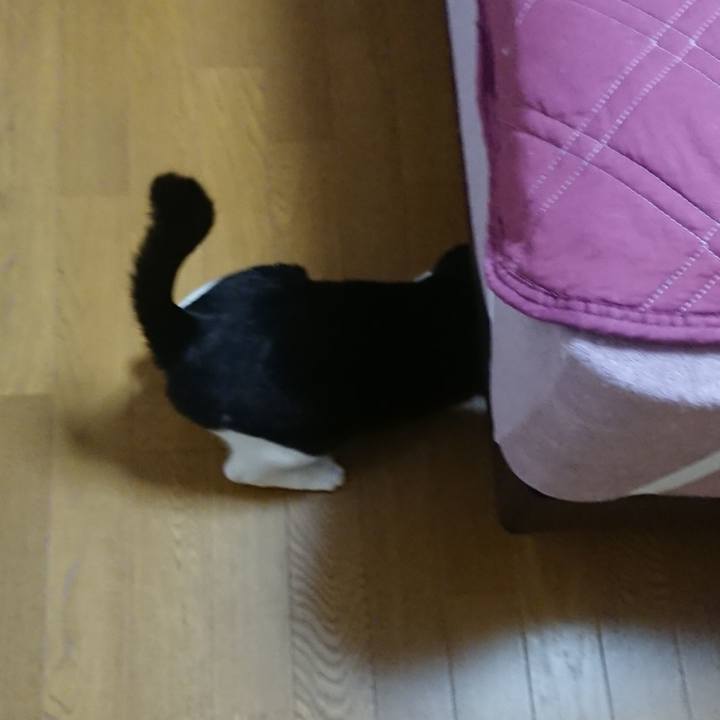 3af9ff91 6026 4a20 a255 061ffca52df6 1619219543513