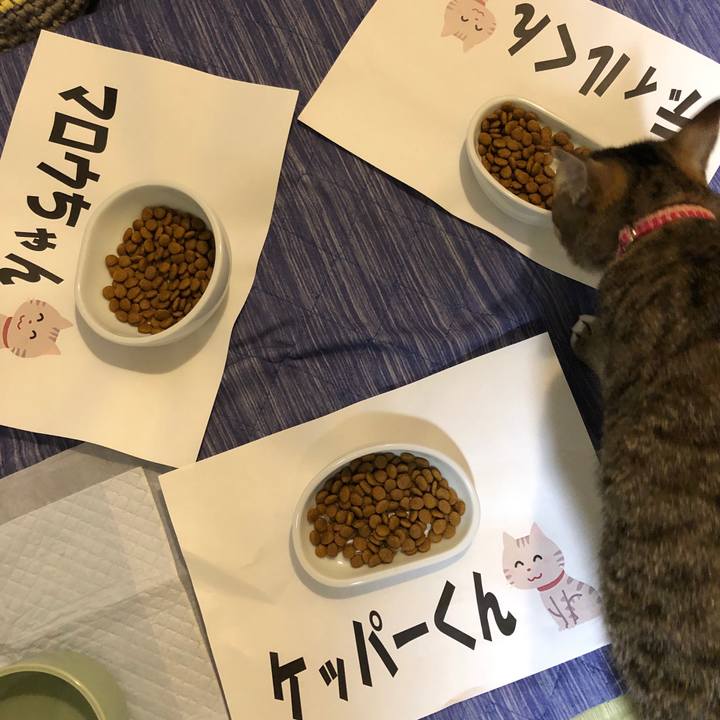 3afa0f59 8b4b 4c79 a69c de8fad3c5e66 1600686473641