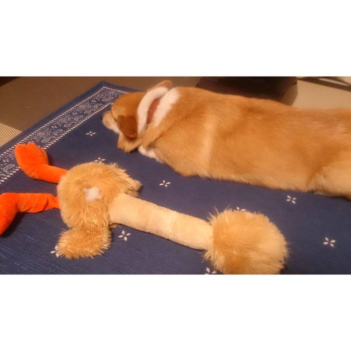 3afa169d 8b3b 401f b6a9 9d745c666f68 1557712619894