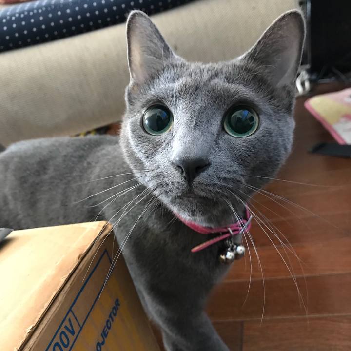 3afa17d5 a2f2 4dea 810b c5d9a6d19d11 1524025145261