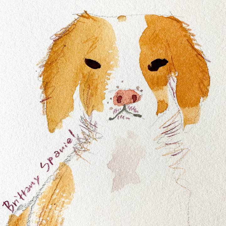 3afa3d6f f608 480e 9e21 e5419cd568cf 1590575676693