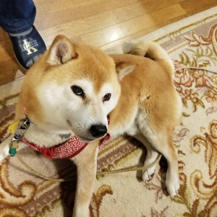 3afa4f0d 507b 4418 bb24 f41e3dc48f8d 1561197812023