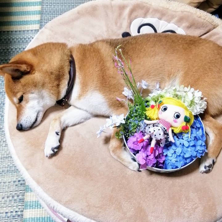 3afa64b9 a322 4063 bfd8 d787cccd1a1c 1592736698376