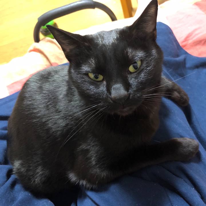 3afa694a 926b 45fc 81a9 7692a0b67bfd 1709550693736