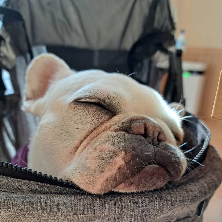 3afa8f40 8ee3 48a4 9baf a4015c691ee1 1707289159818