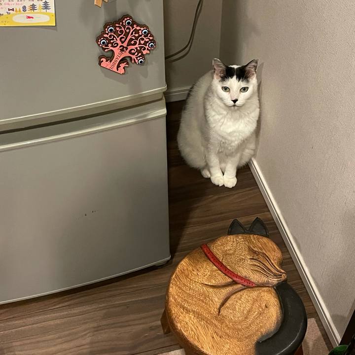 3afa9d7e ff99 44d3 9422 5caf524d3f8c 1606308578061