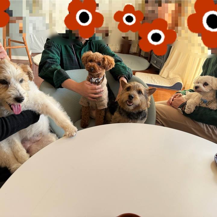 3afaab01 1d44 4915 b390 748e656c15de 1767357612652