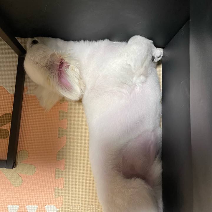 3afac2ec 4fa5 4df1 aa3d 619f116968ba 1687040235715