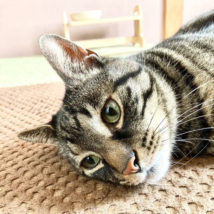 3afacd2e 1b5f 4342 886f d76f70fe155c 1649641941514