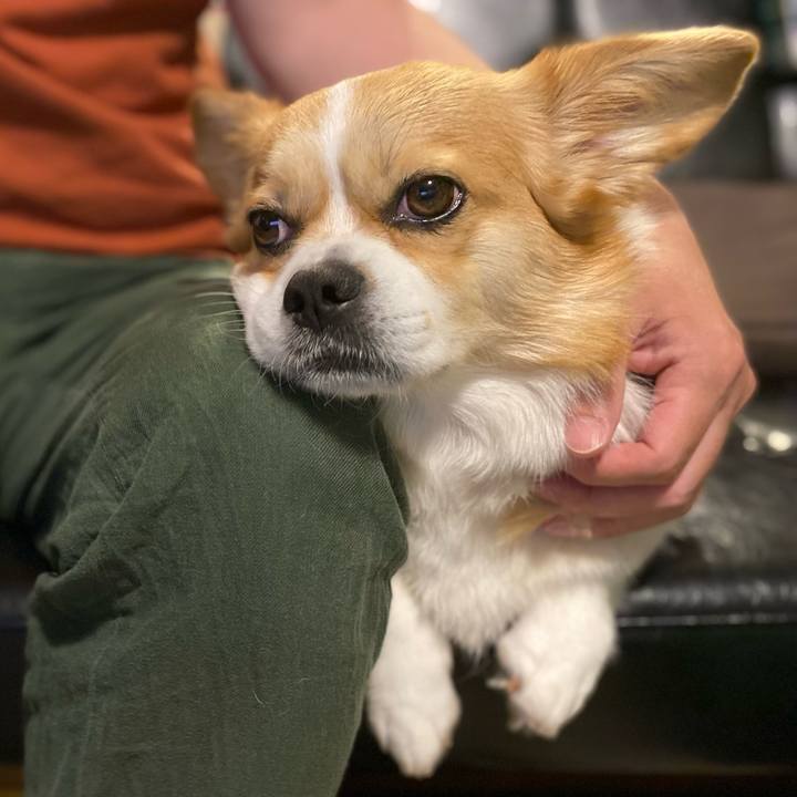 3afae51a 3798 497d b16b ccd7c0c4d701 1653996070184