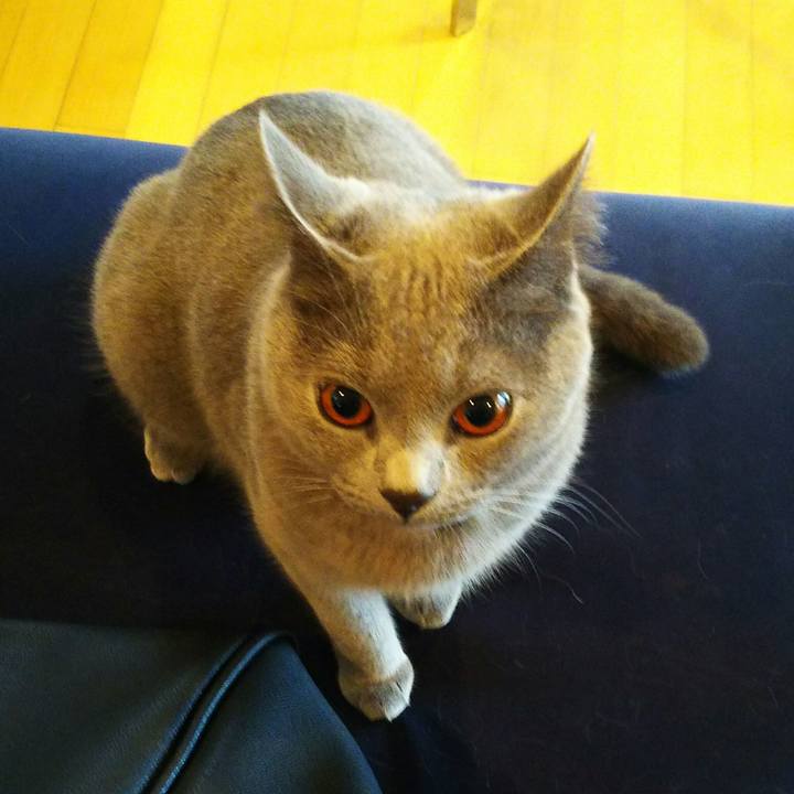 3afafe27 cc2f 4192 8793 3cb2b0373822 1510618111385