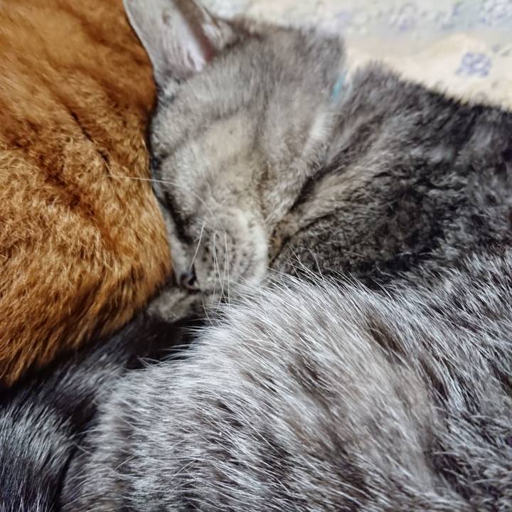 3afb300a fc9c 442b ab56 316695722e19 1576409545532