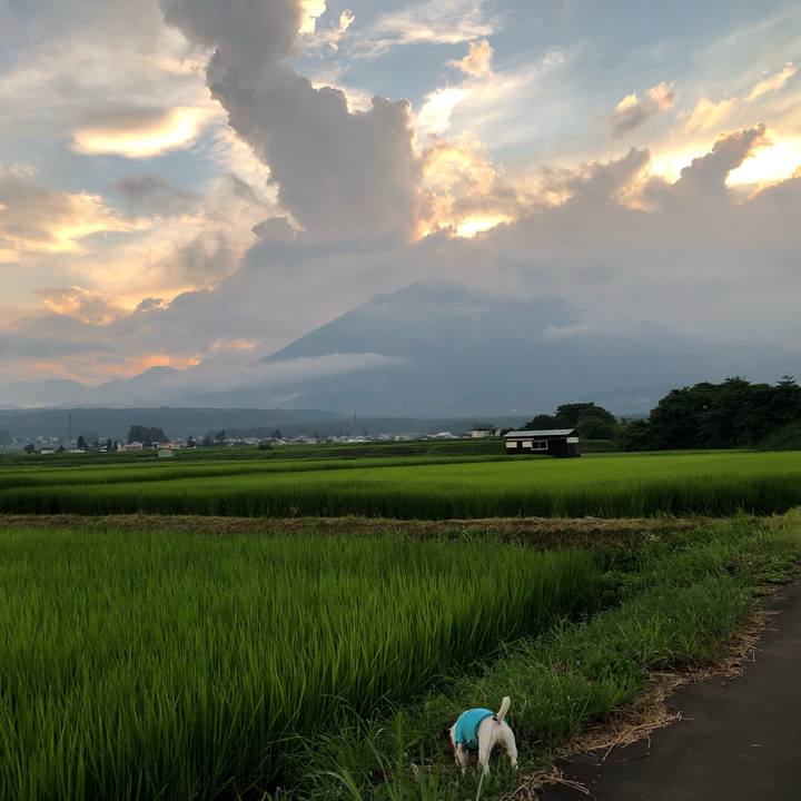 3afb56c8 02af 484c bc3a 1e1edc80b4dc 1565270696124