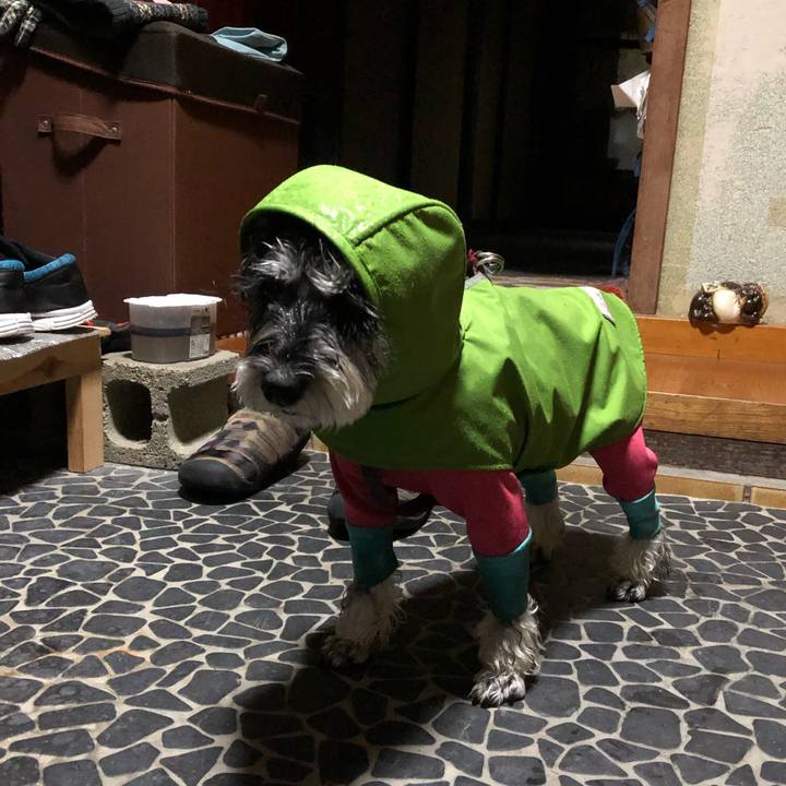 3afb7be0 d8bd 4923 8f30 402ee1263aab 1669195265302