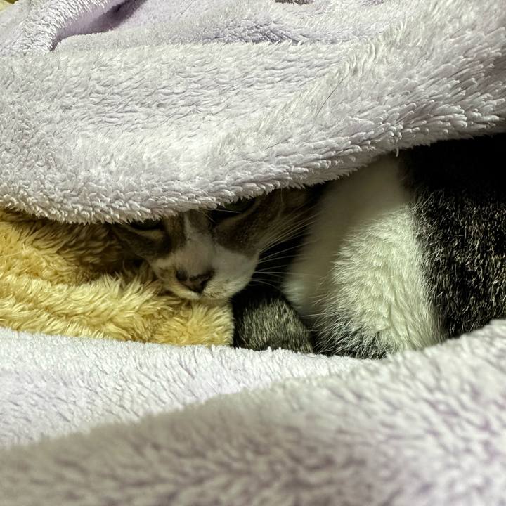 3afb8d63 7e07 4c8d a9ea afbe16c104cb 1673750420442