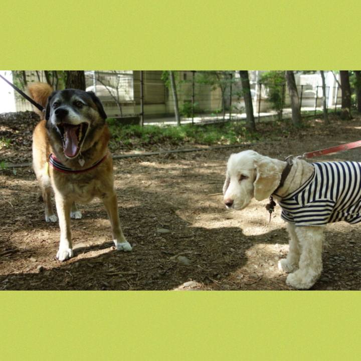 3afb9017 c6fc 4c96 bb0e 7e20becc6424 1714438292940