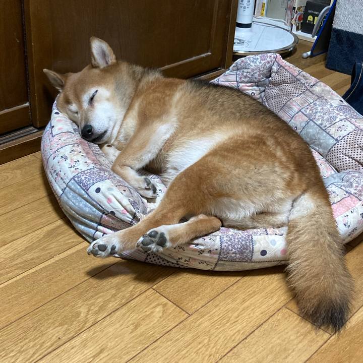 3afb9721 ebd4 4b5c bae4 fc4ab7f33b90 1664626650974