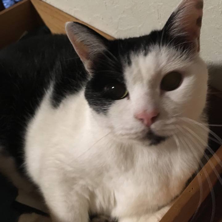 3afb9ad7 db1a 4d87 928d 56149427adfe 1538690809595