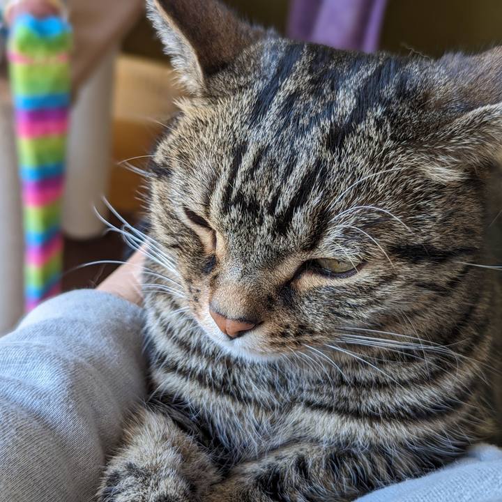 3afbe091 6ddd 41d8 8de0 13011ecd1deb 1706496970068