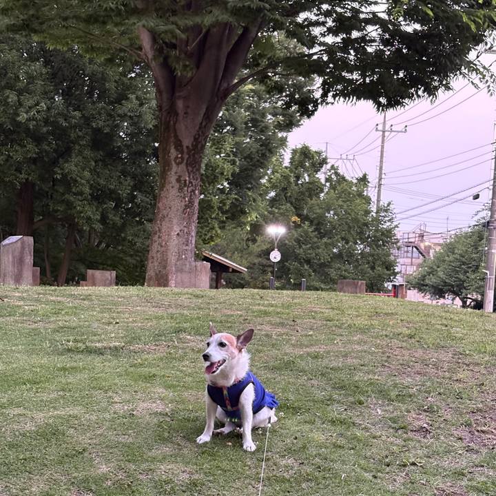 3afbfe83 475e 41be 88a7 fd1bafa76821 1750375676422