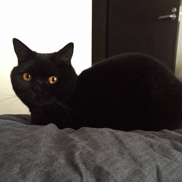 3afc0789 9a14 42bf 9cd5 34ae71012554 1521184325577