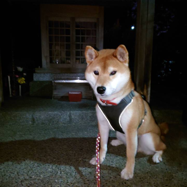 3afc673f 7d87 4b84 b897 ce6d34dca8ac 1765360766315