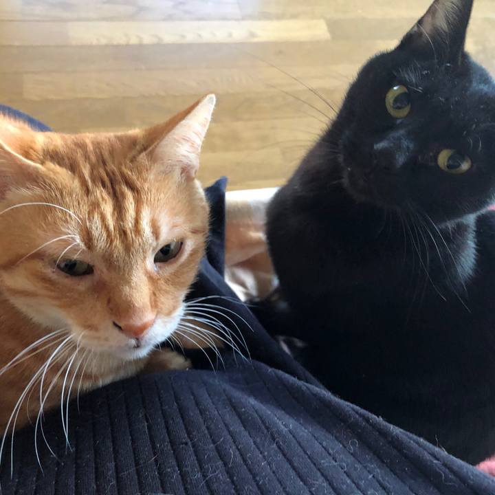 3afc8312 d517 4f66 a8a8 72d2e131de17 1666994210280